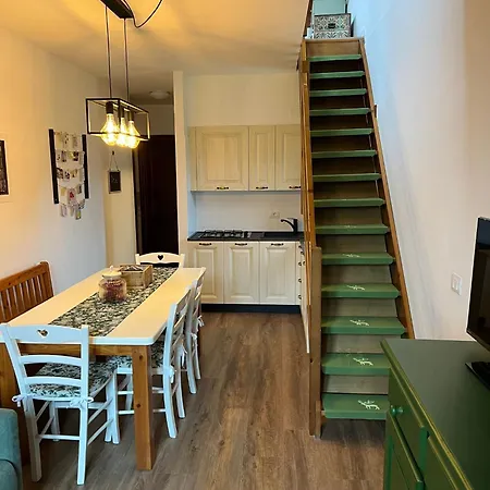 Mandi Mandi In Pista *