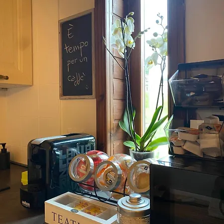 Mandi Mandi In Pista Daire Tarvisio