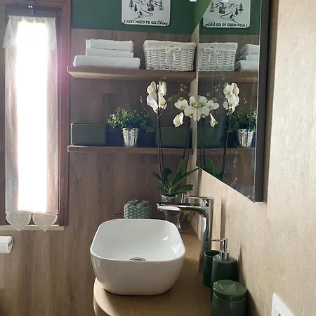 Mandi Mandi In Pista *