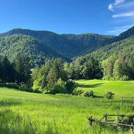 Mandi Mandi In Pista *