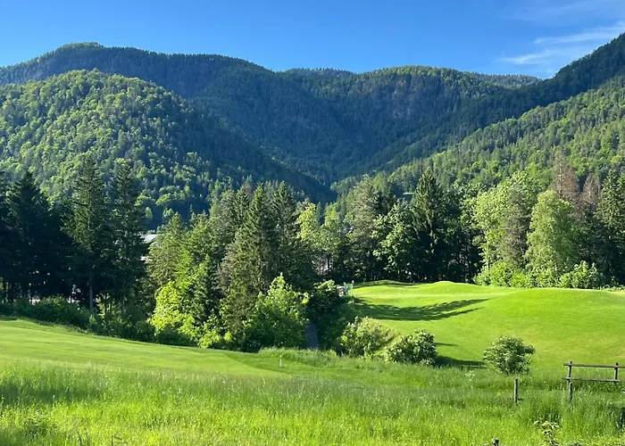 Mandi Mandi In Pista *